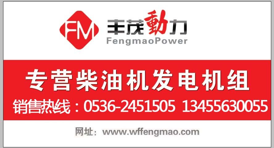 濰柴重機500KW柴油發電機組開機試驗