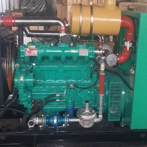 天然氣80KW發電機組
